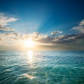 Vibrant melodies、Ocean Waves from the Pacific、Music to Relax Ensemble - Lulling Into Soft Dreams