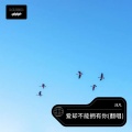 沐凡 - 爱却不能拥有你 (Live)