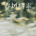 诺爷Plus - 春风将来