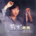 凤飞飞 - 雨中之花