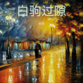 老杨 - 诉衷情