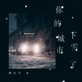 韩小欠 - 你的城市下雪了