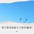 沐凡 - 断了联系却断不了想你 (Live)