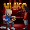 Re-Flex - WIJKO