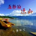 飞彝组合 - 钞票