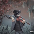Krypy - Elusive