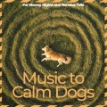 Relax My Dog、Dog Music Waves、Pet Music Therapy - Long Walk, Short Nap