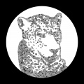 Tensnake - Need Your Lovin