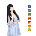 媚儿菲菲 - 你的爱情在哪里
