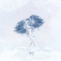 邹沛沛、张鑫 - 不结