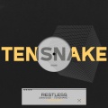 Tensnake - Around the House