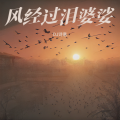 DJ诗意 - 风经过 泪婆娑 (DJ诗意 remix)