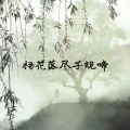 DZze、绯绯er - 杨花落尽子规啼