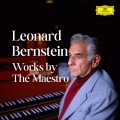 Wiener Philharmoniker、Leonard Bernstein - Mozart: Symphony No. 25 in G Minor, K. 183: III. Menuetto