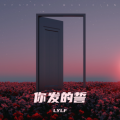 LYLF - 懂你