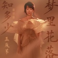孟庭苇 - 梦里花落知多少
