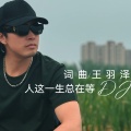 王羽泽 - 人这一生总在等