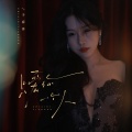 于春洋 - 只爱你一个人