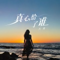 大美 - 你把真心给了谁