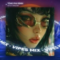 Vipes、Keyo - Tòng Phu (Remix House)