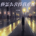 DJ诗意 - 你怎么舍得我难过 (DJ诗意 remix)