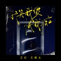 王虹-王棚主 - 我笑我傻恨我痴