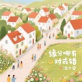 沈十安 - 缘分哪有对或错