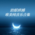 纯音乐 - 阿兰胡埃斯协奏曲 - Julian Bream