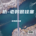 老韩很哇塞 - 桥-老韩很哇塞