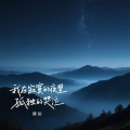 陈辰 - 我在寂寞的夜里孤独的哭泣