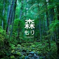 栗子绵绵 - 乡间晚风