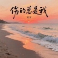 龙宝 - 伤的总是我