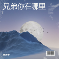 雷震宇 - 是你先转身要走