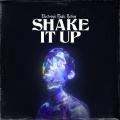 Electronic Music Nation、DJ Dance - Shake It Up