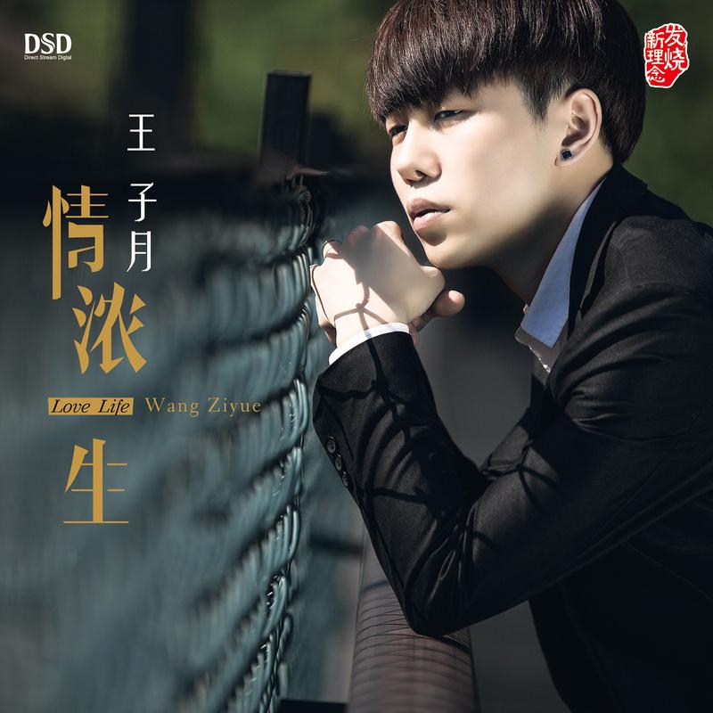 车载cd【摘要 书评 在线阅读-苏宁易购图书 王子月你走以后(dsd