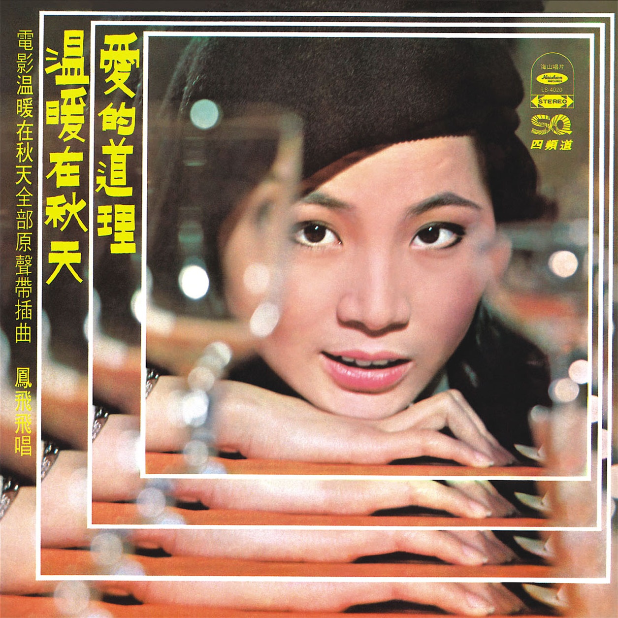 凤飞飞 - 落花情