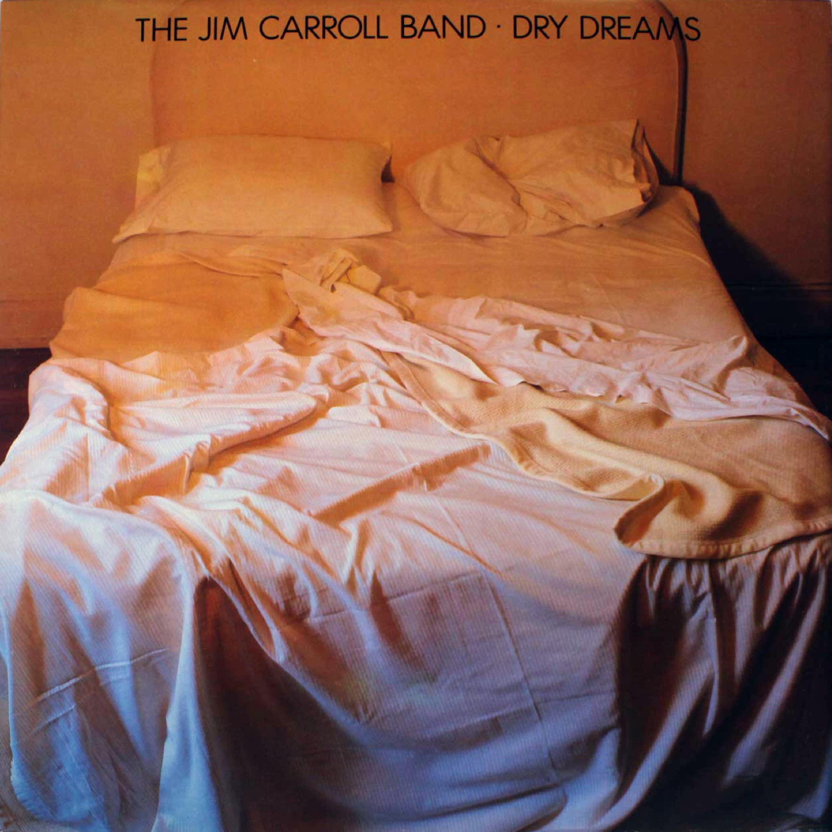 still life_the jim carroll band,jim carroll_高音质在线试听_still