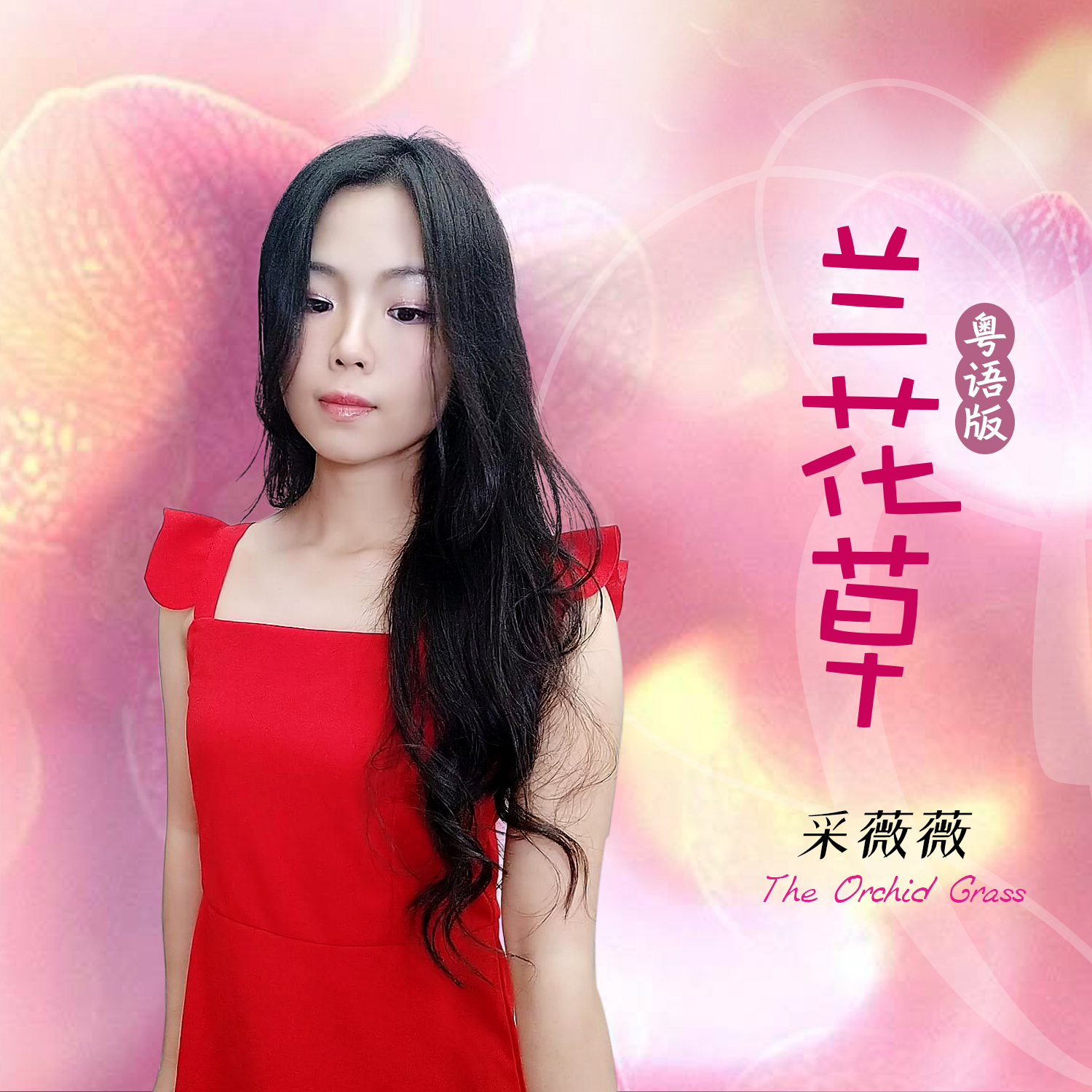 采薇薇兰花草粤语女声版