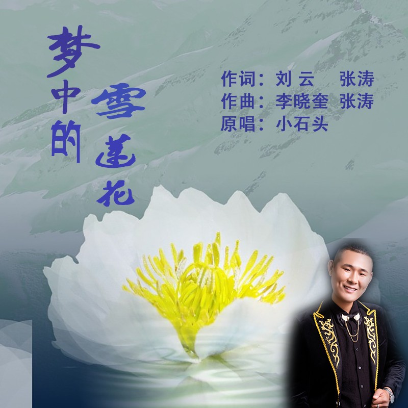 小石头梦中的雪莲花