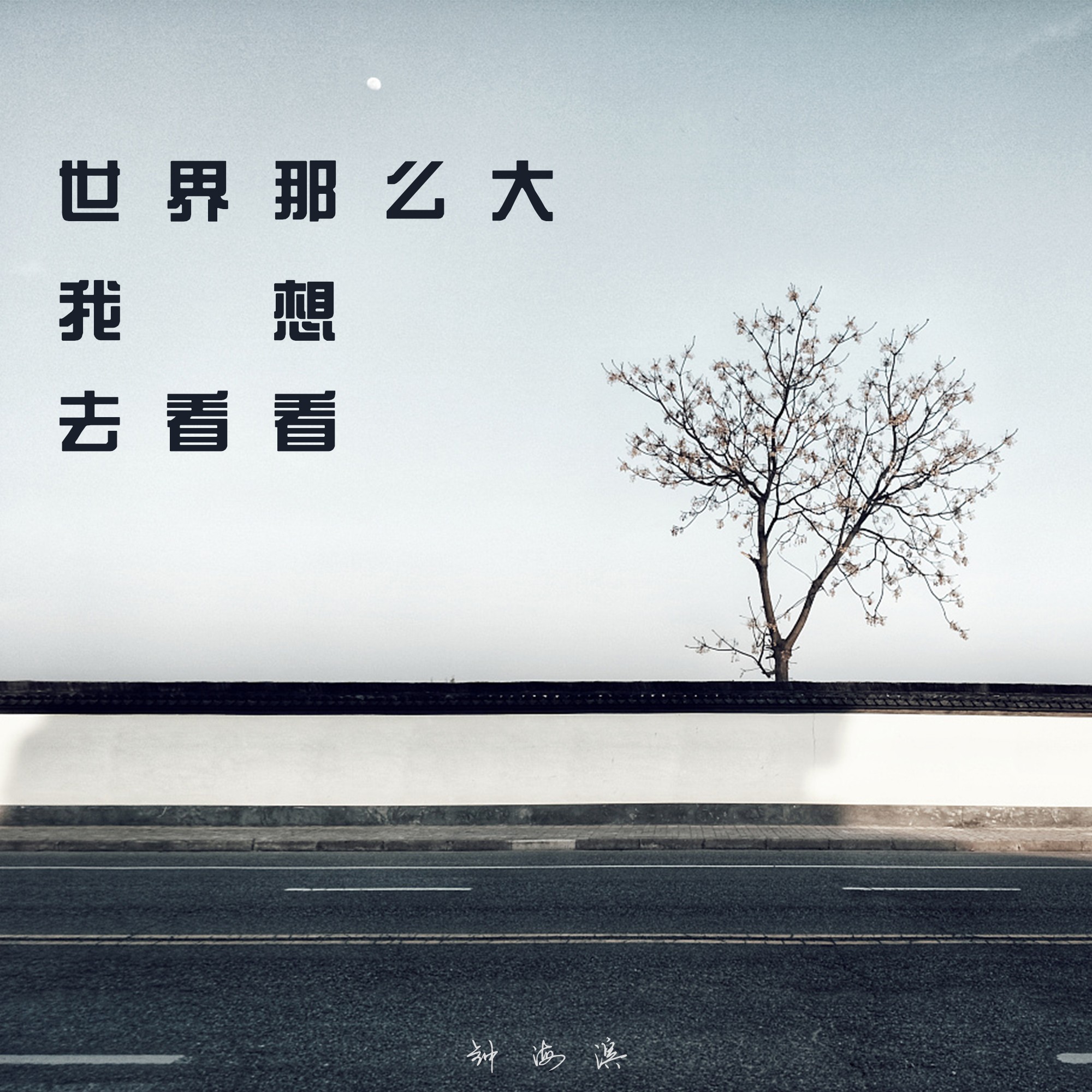 我想去看看世界文案
