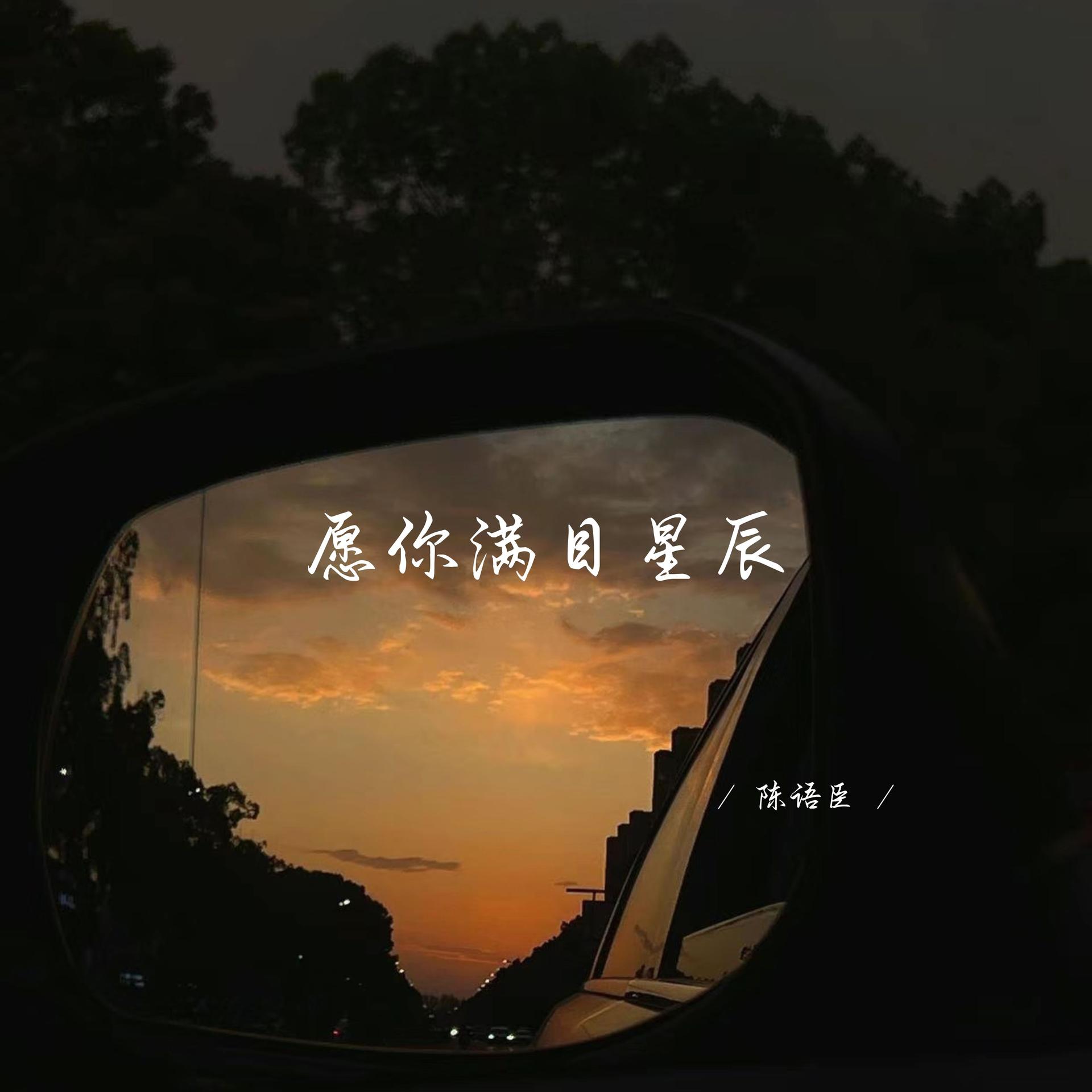 满目星辰皆是你文案