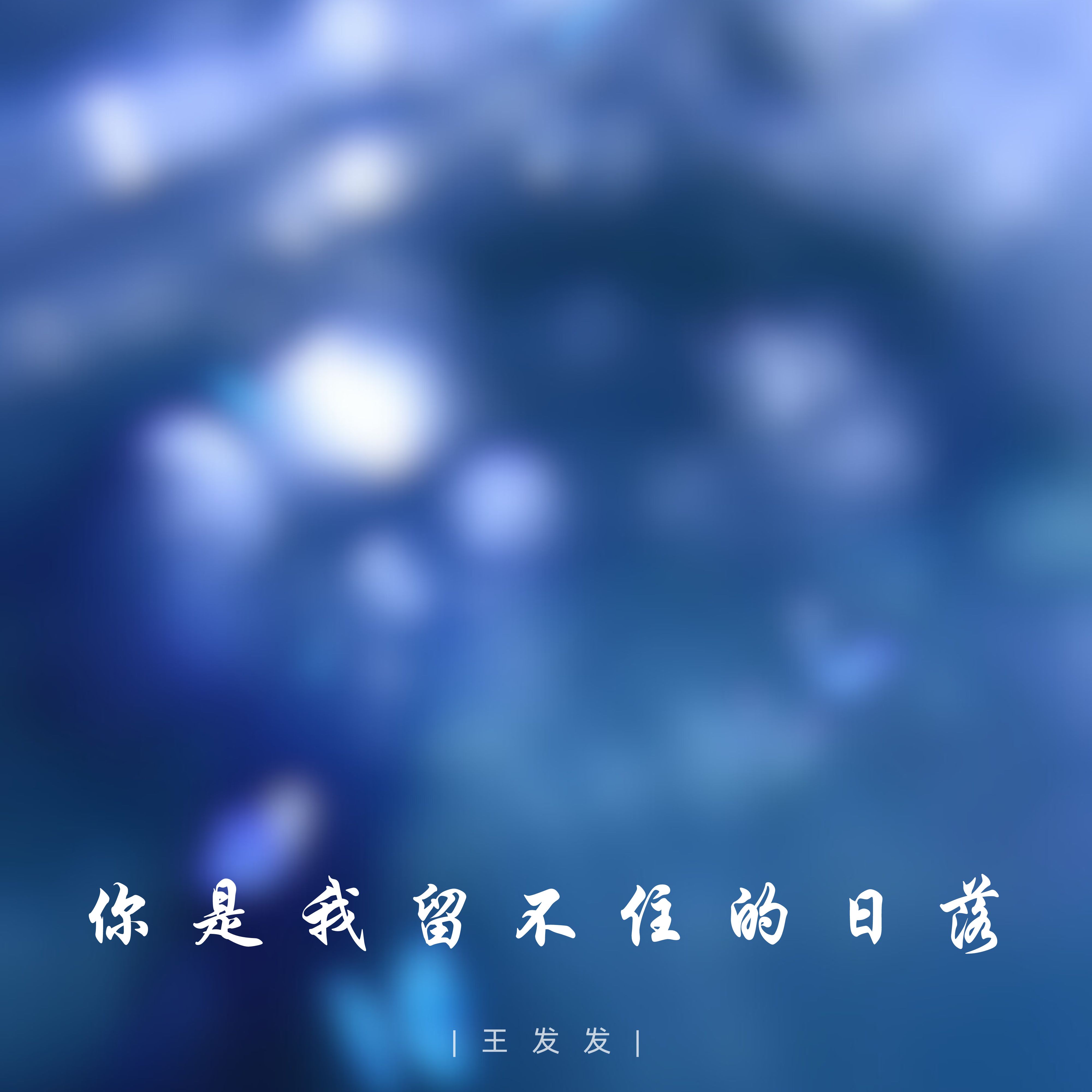 你是我留不住的