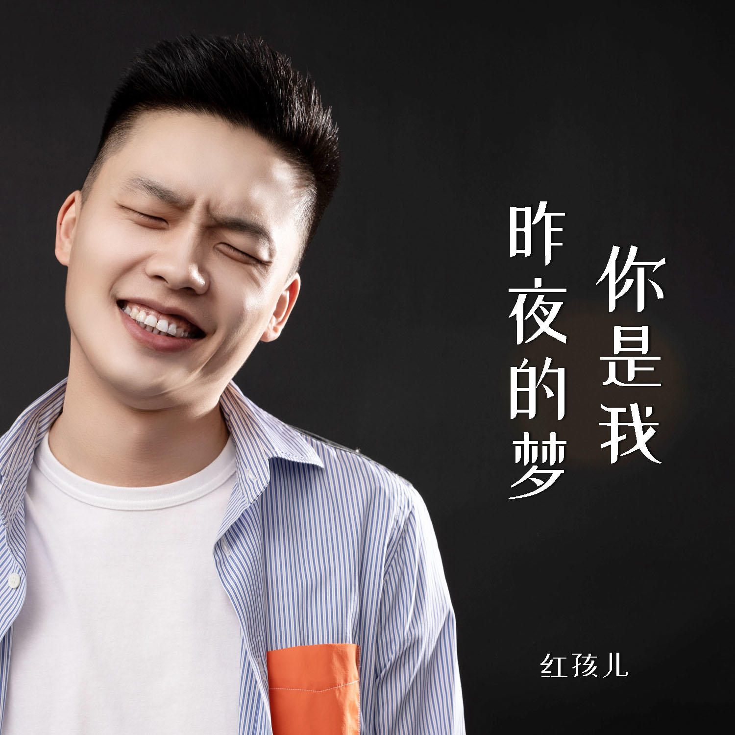 你是我昨夜的梦歌词