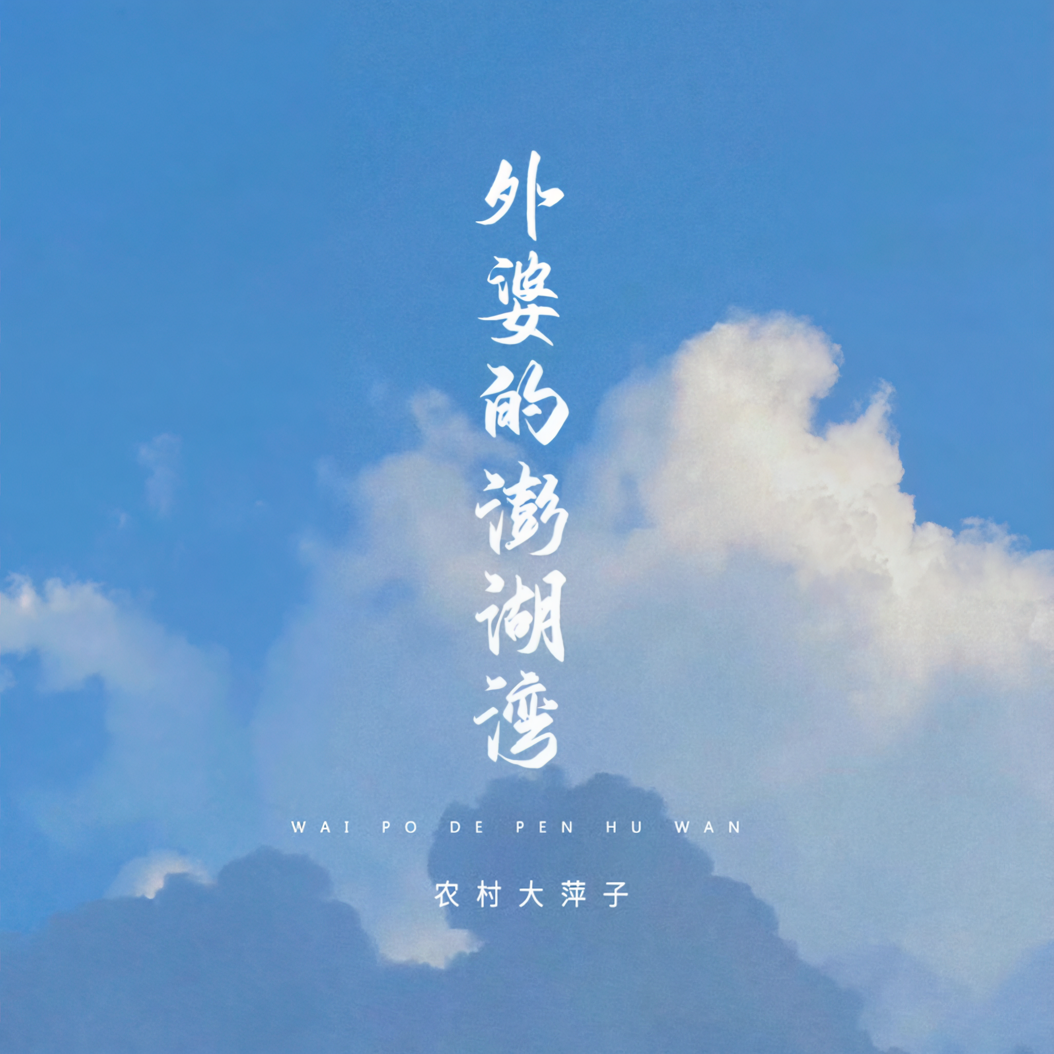 歌曲外婆的澎湖湾原唱(外婆的澎湖湾原唱视频)