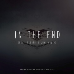 in the end 歌曲列表全部播放播放全选01tommee profitt,fleurie