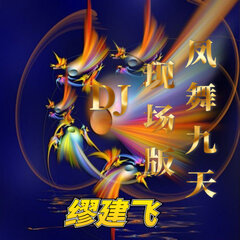 凤舞九天dj版