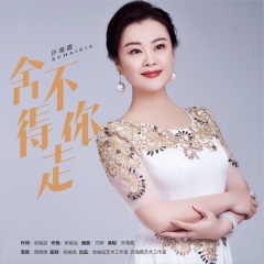 是由中国著名音乐人词作家张峻品作词作曲,内地歌手许海霞演唱的一首