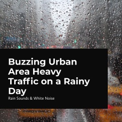 buzzingurbanareaheavytrafficonarainyday