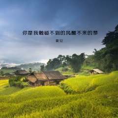 全部播放专辑名:你是我触碰不到的风醒不来的梦歌手:夏安发行时间