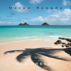 ocean sounds - sea breeze